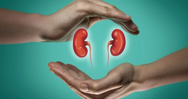 Nephrology Services and kidney care