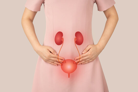 Menopause and Bladder Health: Managing Incontinence and UTIs in Women